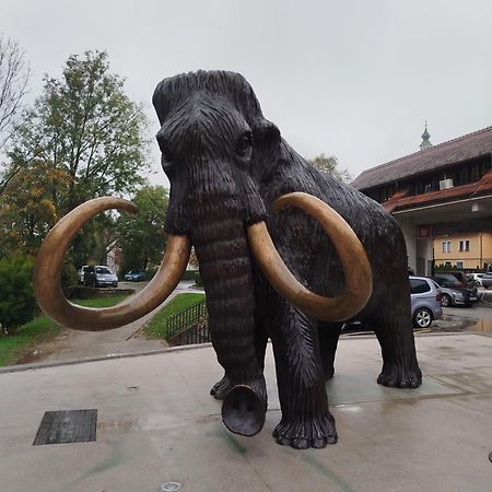Apartma Mamut 1850 Kamnik Eksteriør bilde